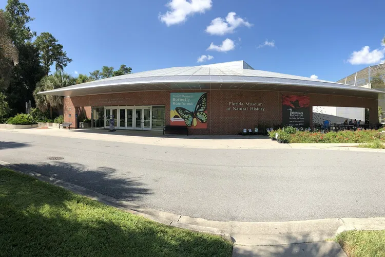 Museo de Historia Natural de Florida
