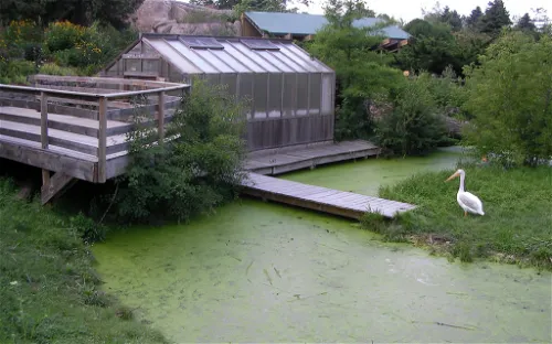 Racine Zoological Gardens
