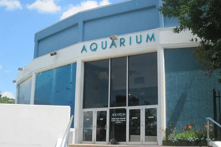 Acquario delle Cascate del Niagara