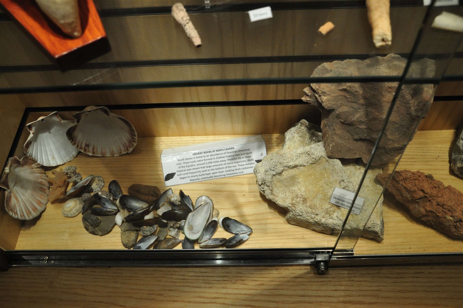 Kents Cavern Prehistoric Caves