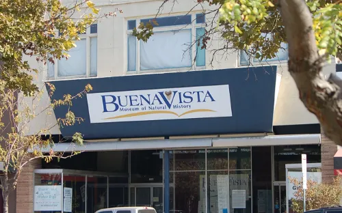 Buena Vista Museum of Natural History