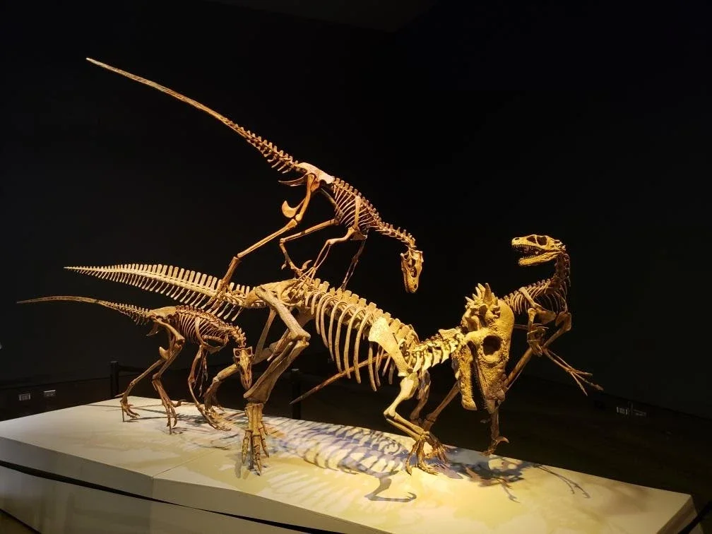 Museum At Prairiefire