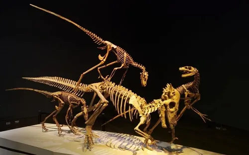 Museum At Prairiefire