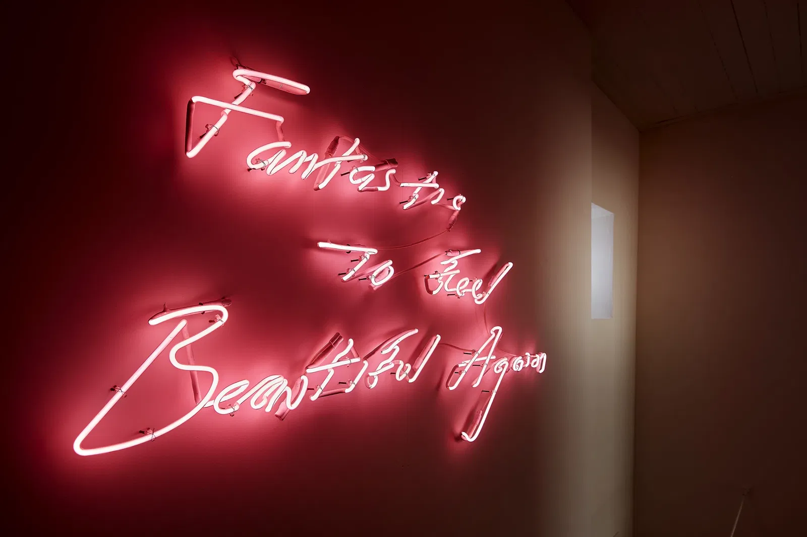 Museum of the Mind | Dolhuys