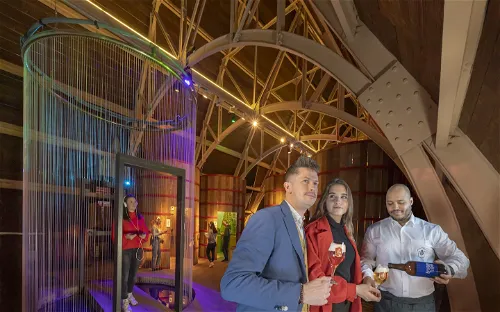 Bruges Beer Experience