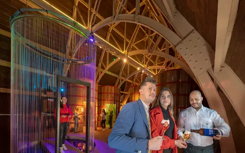 Bruges Beer Experience