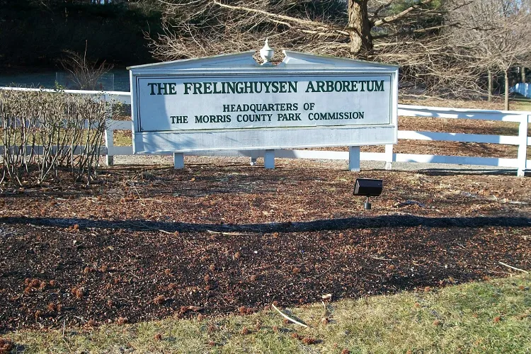 The Frelinghuysen Arboretum