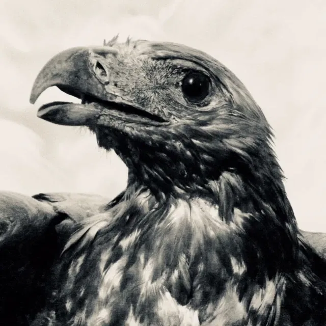 Museum of Zoology "P. Doderlein"