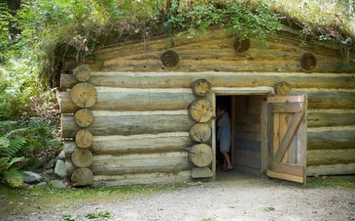 Forest History Center