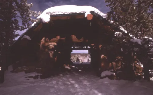 Norris Geyser Basin Museum