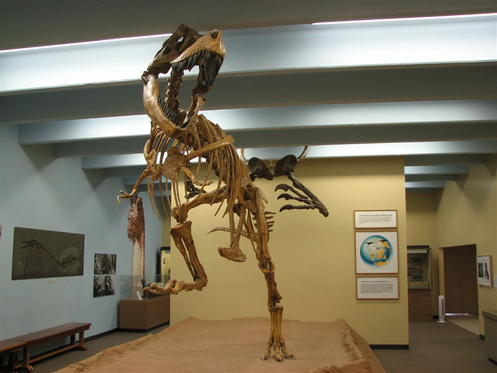 The Dinosaur Museum