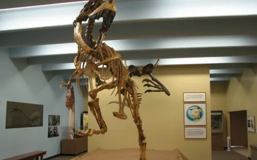 The Dinosaur Museum