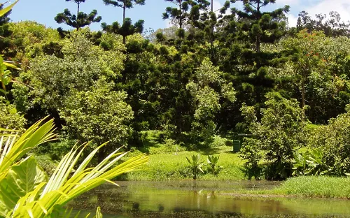 Ho'omaluhia Botanical Garden