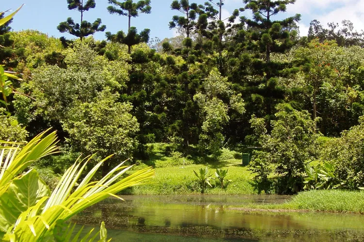 Jardín botánico Ho'omaluhia
