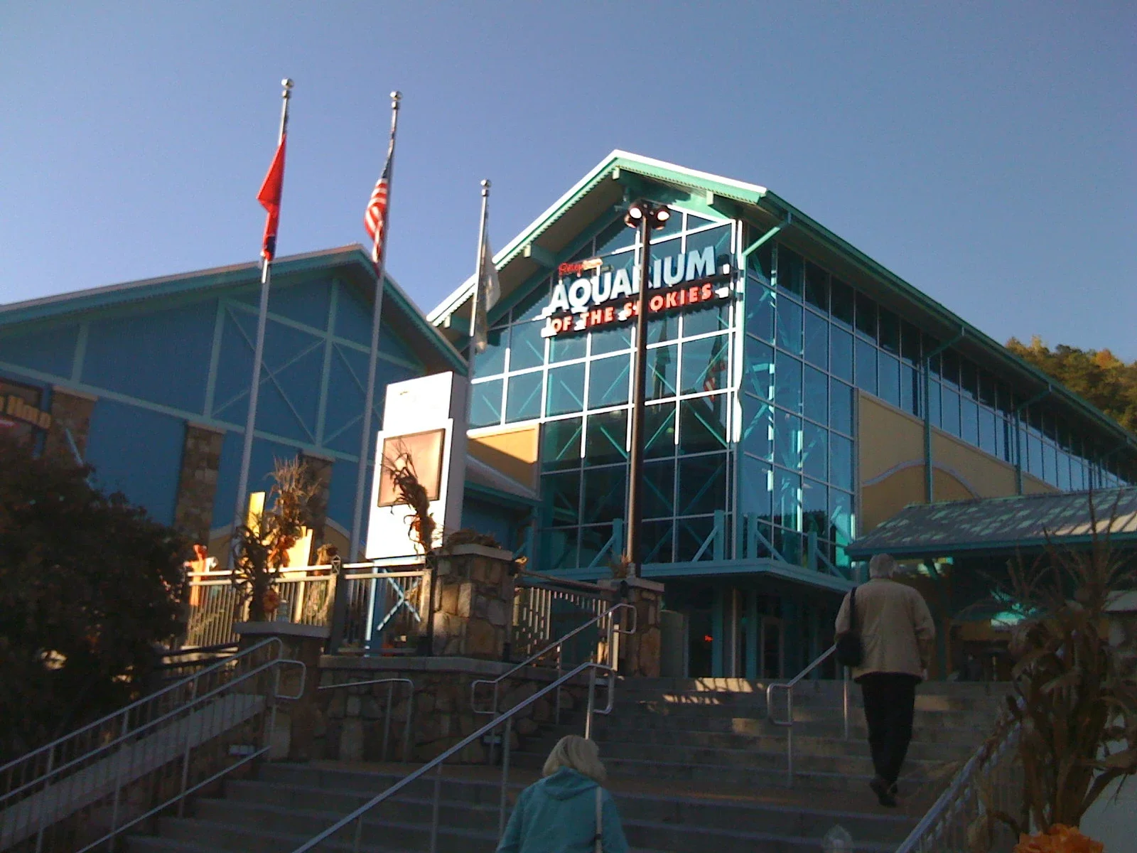 Tickets, Prices & Discounts Ripley's Aquarium of the Smokies (Gatlinburg)