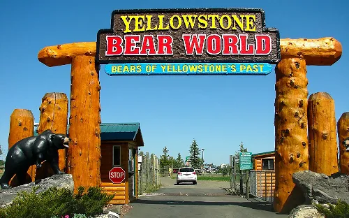 Yellowstone Bear World