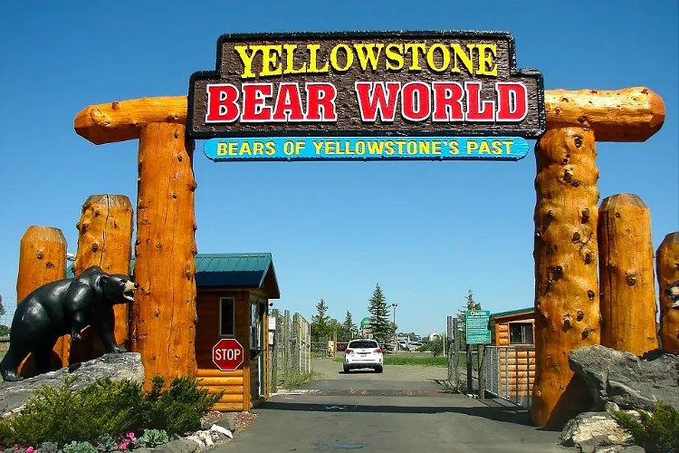 Yellowstone Bear World