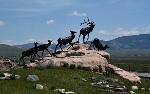 National Museum of Wildlife Art