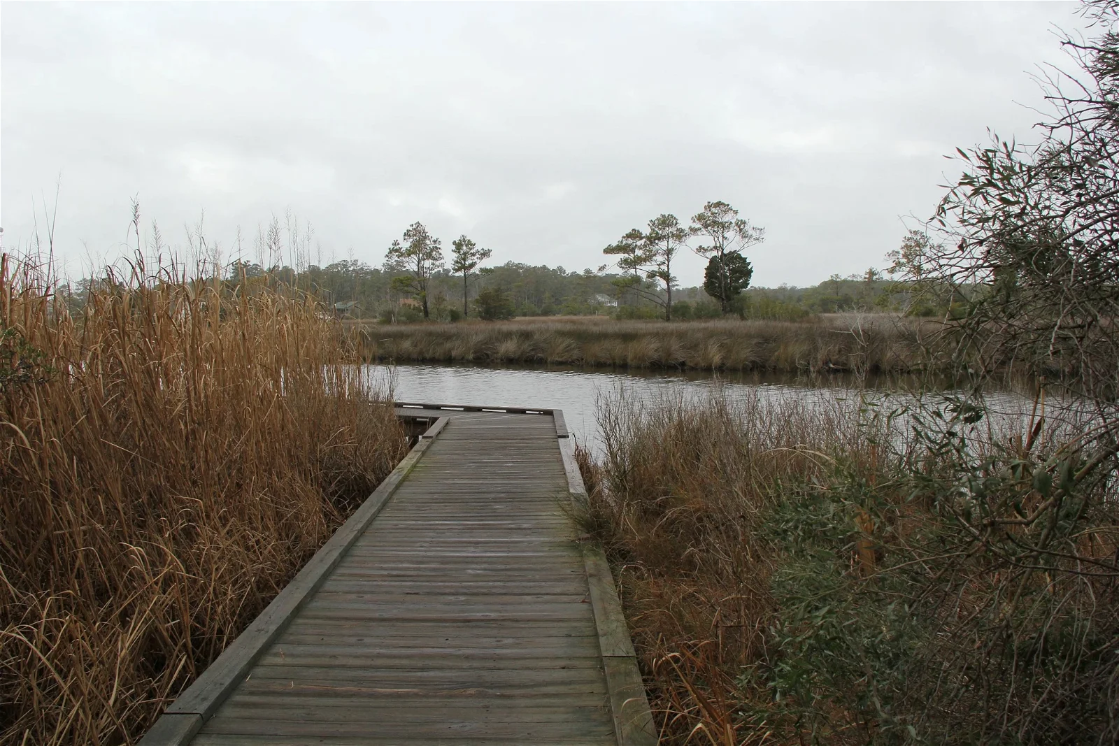 Roanoke Island Festival Park