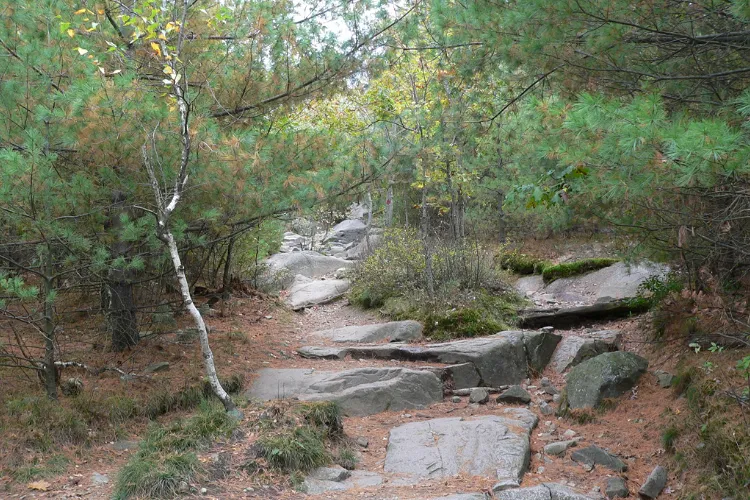 Blue Hills Trailside Museum