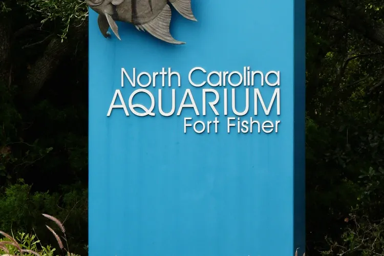 North Carolina Aquarium At Fort Fisher