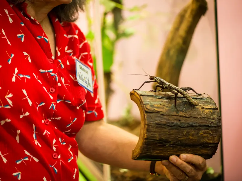 Victoria Bug Zoo (Victoria) - Visitor Information & Reviews