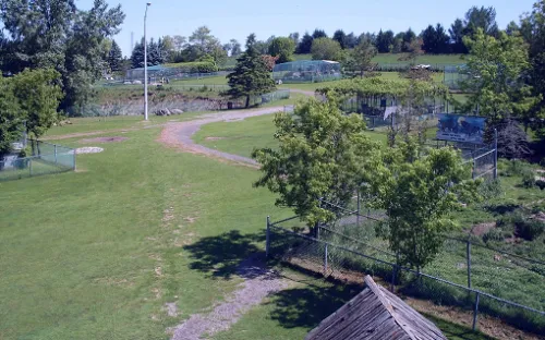 Jungle Cat World Wildlife Park