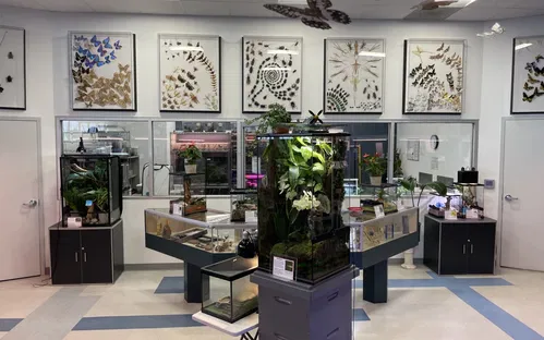 Entomica Insectarium