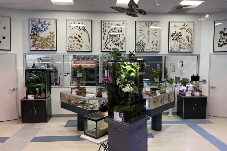 Entomica Insectarium