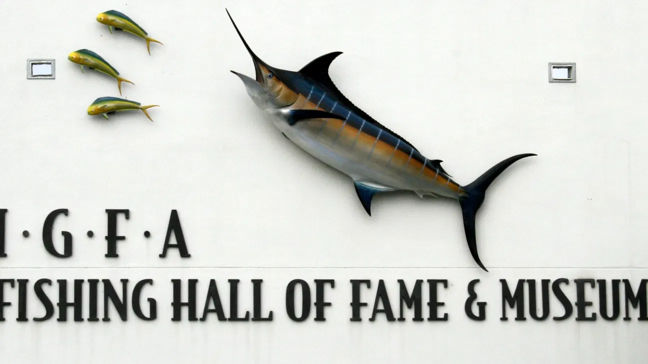 Daia Fish International Game Fish Association (Dania Beach ...