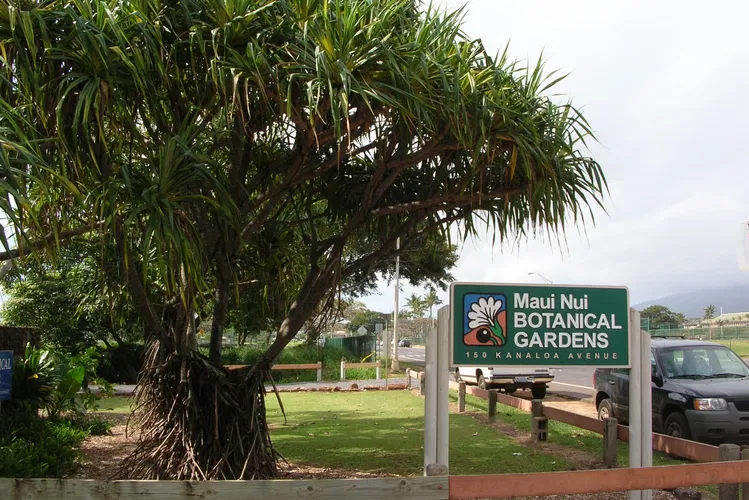 Jardín botánico de Maui Nui