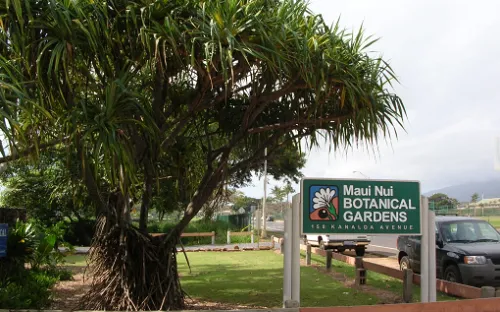 Maui Nui Botanical Gardens
