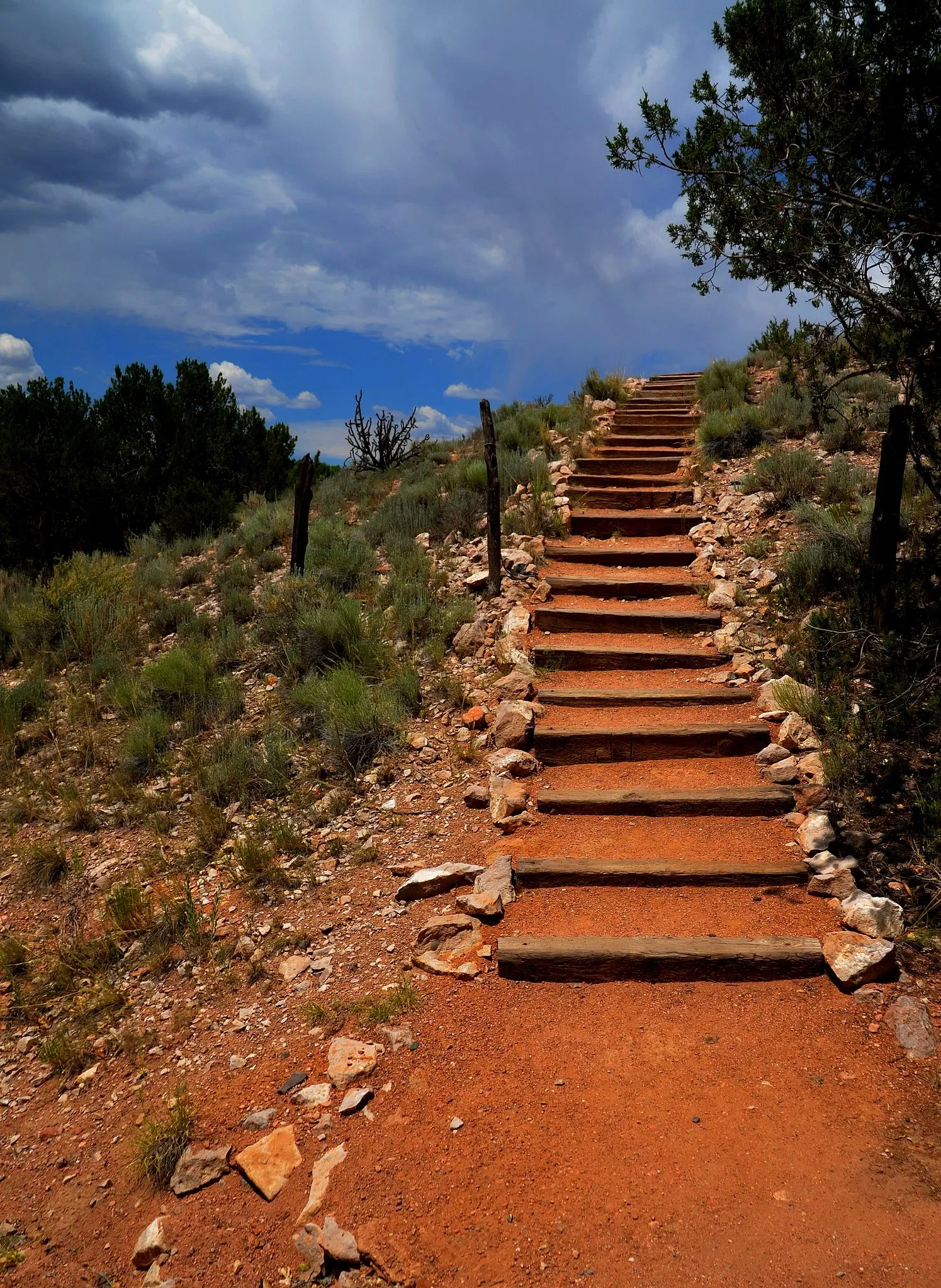 Rancho de las Golondrinas