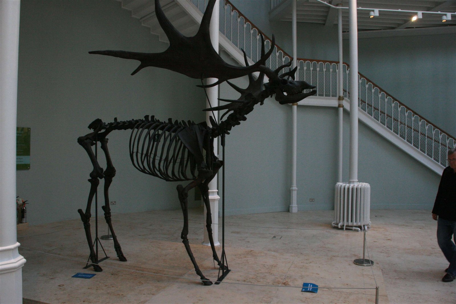 National Museum of Scotland