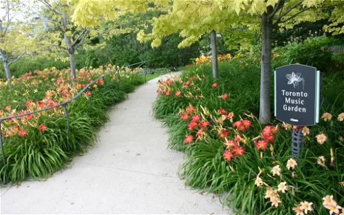 Toronto Music Garden