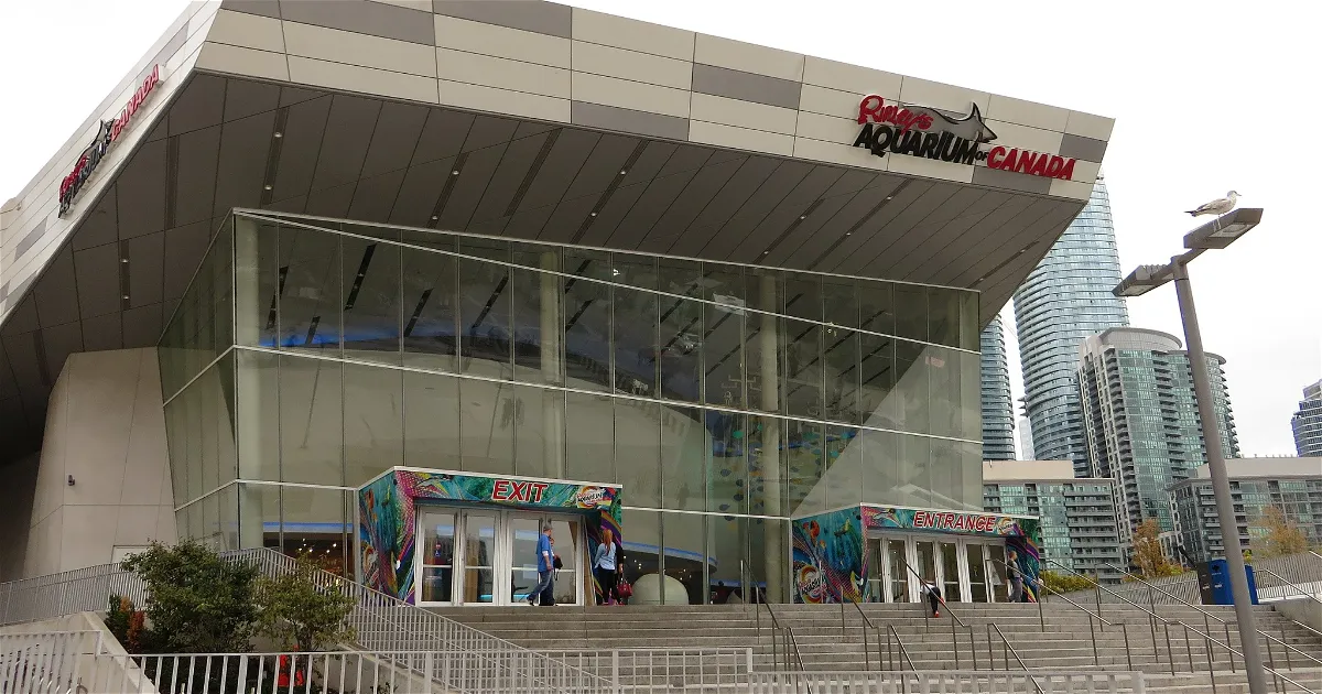 Opening Hours - Og Image Opening Hours - Og Image