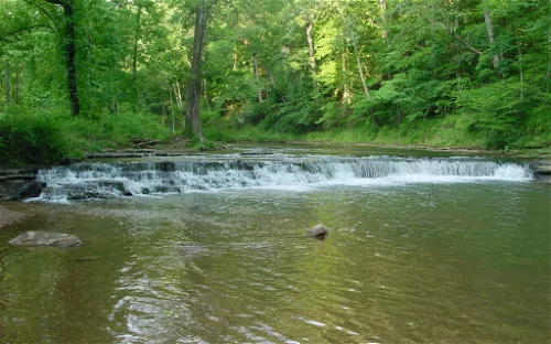 David Crockett State Park