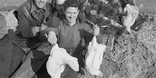 Occupied, liberated & looted