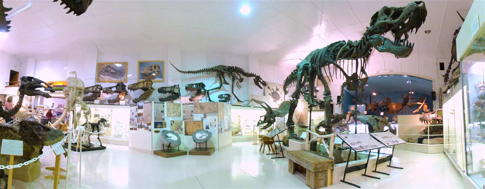 Black Hills Institute of Geological Research