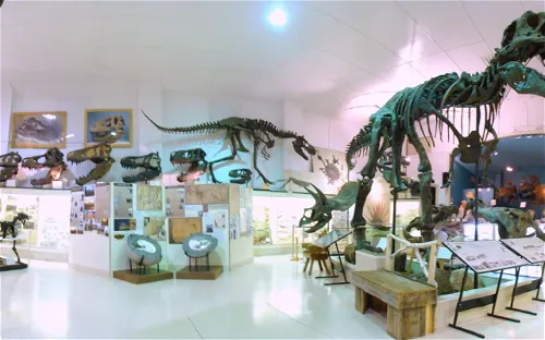 Black Hills Institute of Geological Research