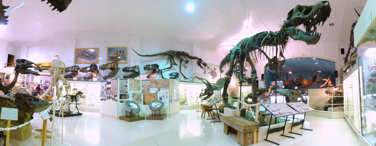 Institut de recherche géologique des Black Hills