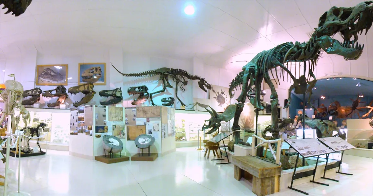 Black Hills Institute of Geological Research