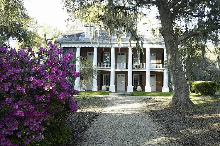 Shadows-on-the-Teche