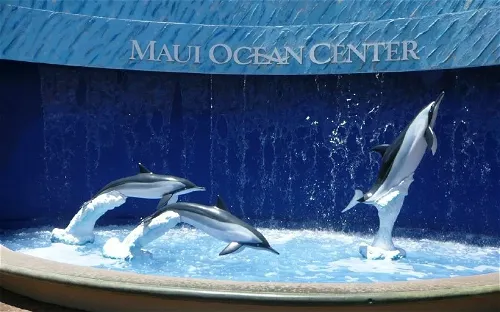 Maui Ocean Center - Aquarium of Hawai'i