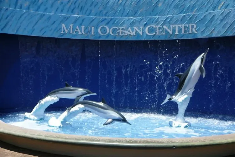 Maui Ocean Center - Aquarium of Hawai'i