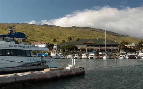 Pacific Whale Foundation