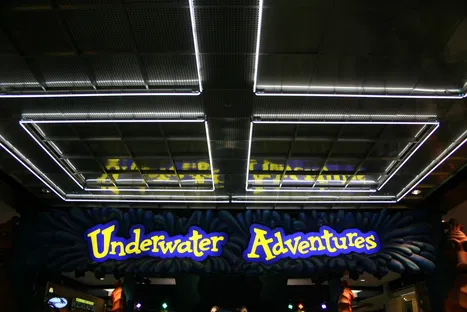 Tickets Prices Discounts Sea Life At Mall Of America Bloomington  Tickets Prices Discounts Sea Life At Mall Of America Bloomington
