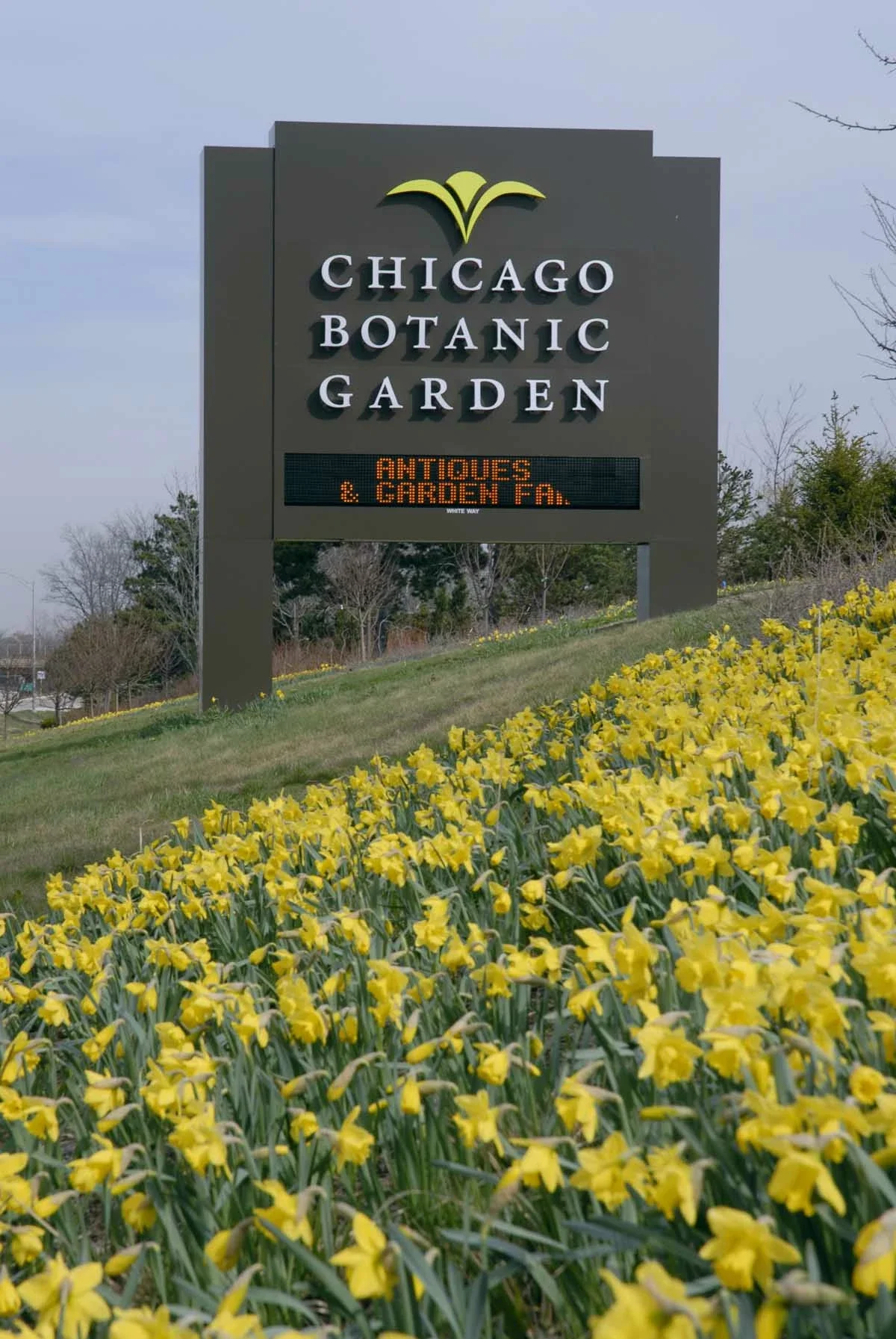 Chicago Botanic Gardens Glencoe - Chicago Botanic Gardens Glencoe.webp