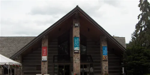 Cobalt: A Mining Town and the Canadian Imagination