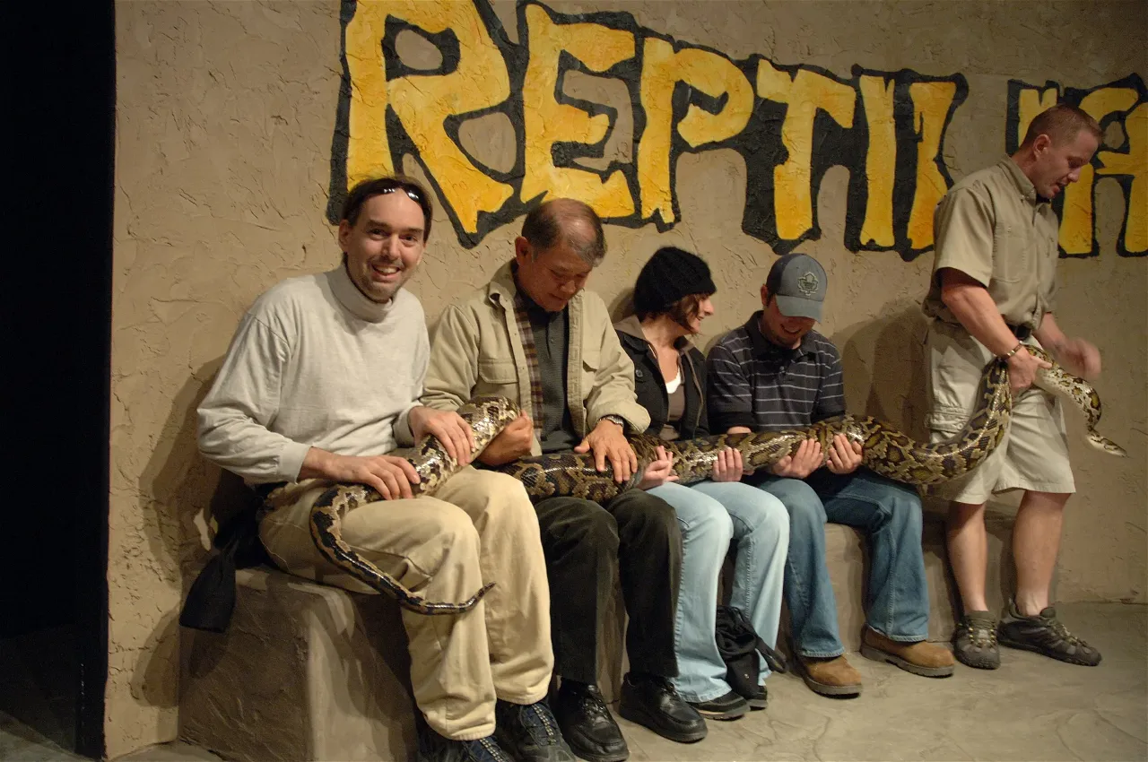 Reptilia Vaughan Weather